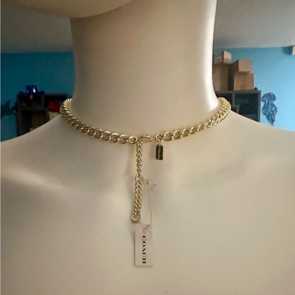 Coach Heart Pink Multi Turnlock Pavé Chain Link Necklace - Picture 5 of 16